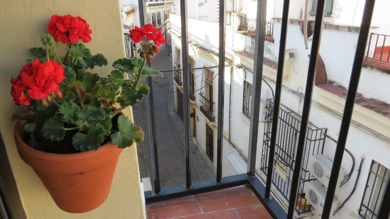 Patios De San Andres Apartment Кордоба Екстериор снимка